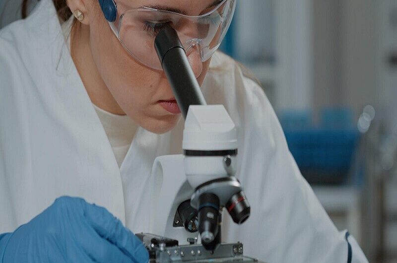 Assunzioni a tempo indeterminato per l’anno scolastico 2017/18